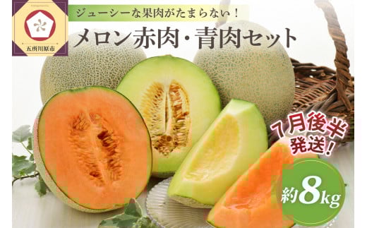 【2025年7月後半発送】津軽のメロン約8kg(赤肉・青肉セット)4～6玉・秀～優青森産