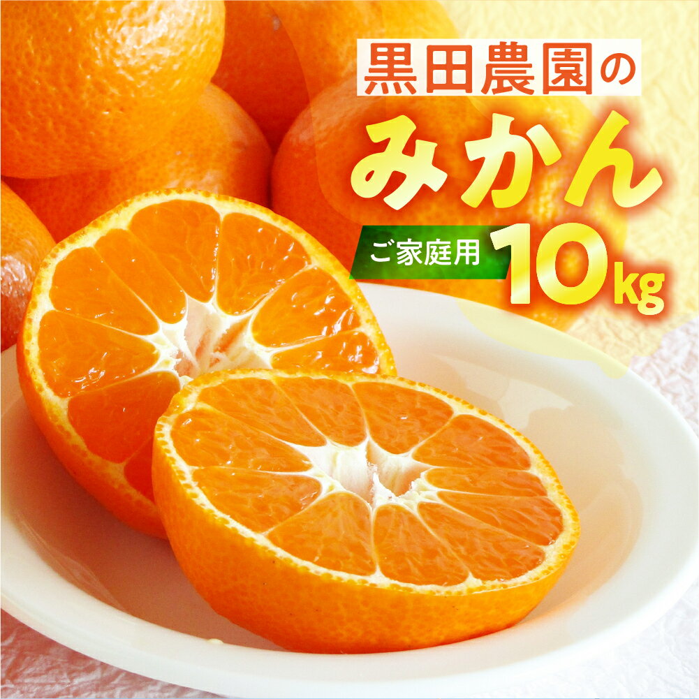 【ふるさと納税】【先行予約】渥美半島の伊良湖みかん 10kg（ 訳あり ） みかん ミカン mikan 蜜柑 送料無料 フルーツ 果物 大容量 渥美半島 甘い 濃厚 コク ジューシー 応援 寄附 産地直送 田原市 愛知県 ご家庭用