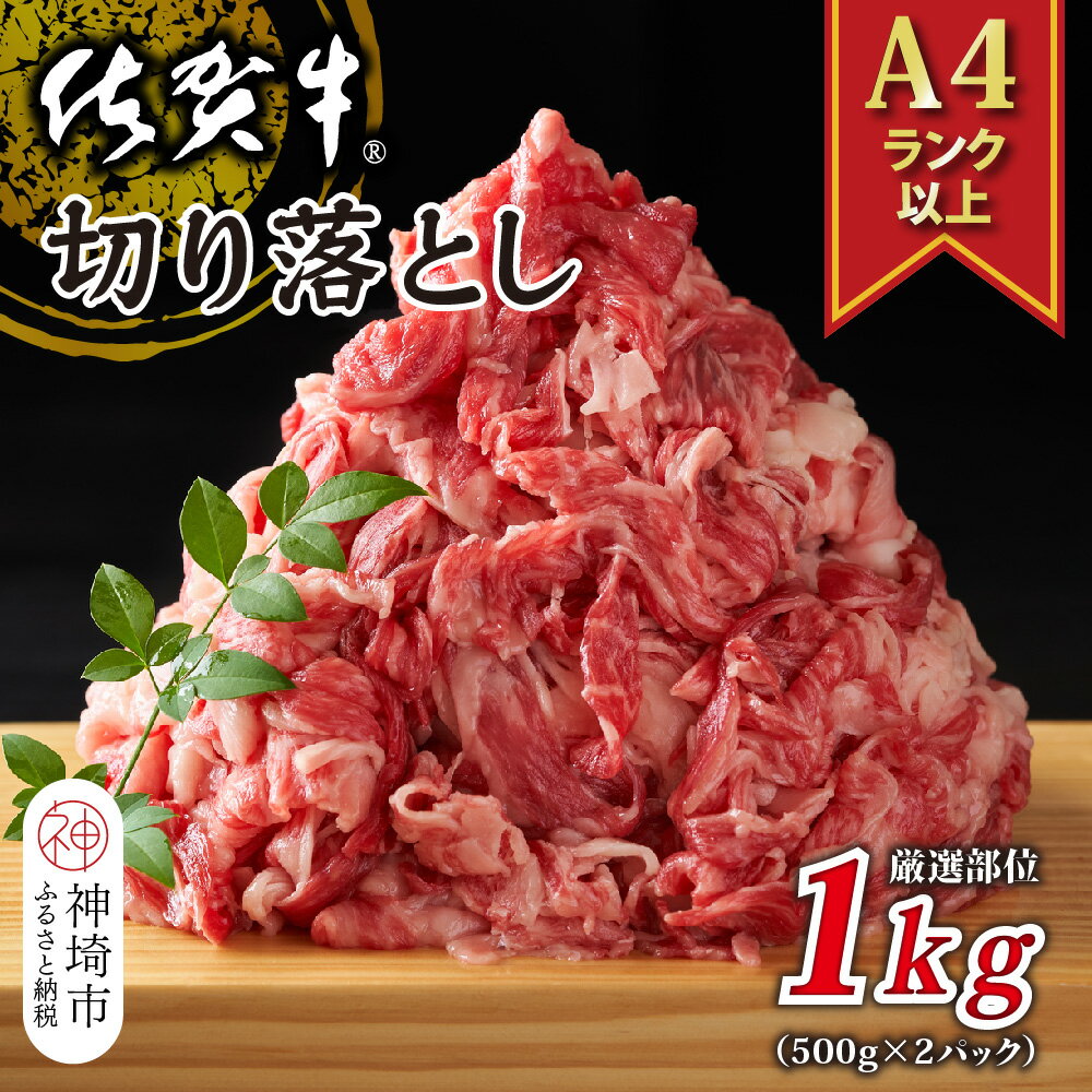 【ふるさと納税】艶さし！【A4～A5】佐賀牛切り落とし 1kg(500g×2P) │ 肉 牛肉 ブランド牛 黒毛和牛 国産 BBQ バーベキュー 高級 厳選 やわらかい ギフト 取り寄せ グルメ 送料無料 (H112285)