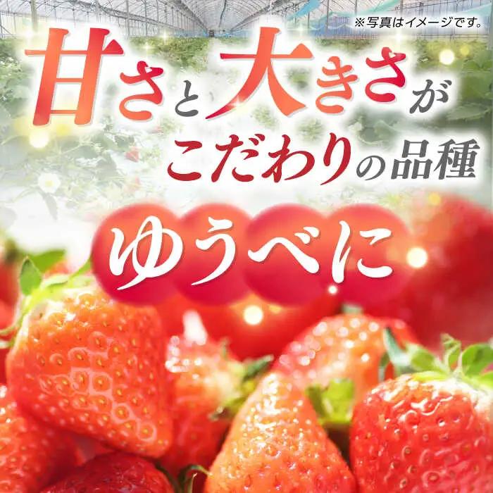 冷凍 いちご ゆうべに 約2kg【熊本ベリー】[ZER014]