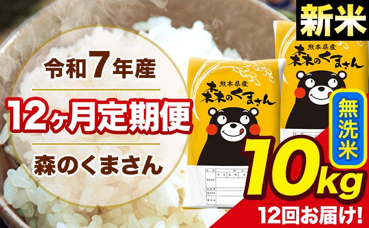 新米 米 令和7年産 森のくまさん【12ヶ月定期便】 無洗米 10kg 5kg×2袋 計12回お届け 《1月から出荷開始》 お米 こめ 熊本県産 ご飯 備蓄