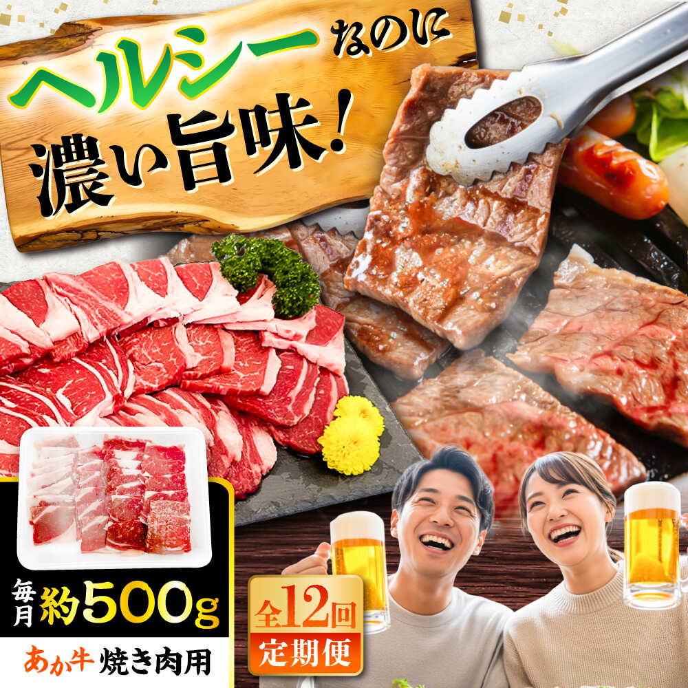 【ふるさと納税】【全12回定期便】熊本あか牛 焼肉用カット(バラ ロース) 約500g / 熊本県 あか牛 あかうし 和牛 焼肉 ロース バラ 牛肉 お肉 褐毛和種 冷凍 国産【五右衛門フーズ】[BHCY048]