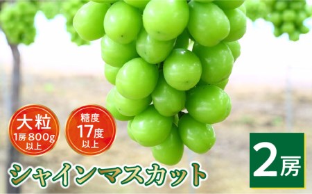 【先行予約】シャインマスカット大粒 2房【800ｇ以上】【糖度17度以上】【配送不可地域：北海道・沖縄県・離島】_M64-0005  シャインマスカット シャインマスカット シャインマスカット シャインマスカット シャインマスカット シャインマスカット シャインマスカット シャインマスカット シャインマスカット シャインマスカット シャインマスカット シャインマスカット シャインマスカット シャインマスカット シャインマスカット シャインマスカット シャインマスカット シャインマスカット シャインマスカット