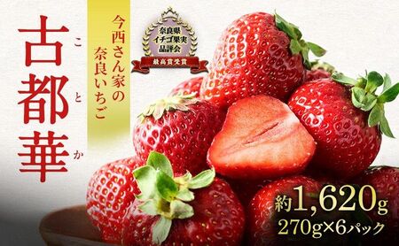 いちご 奈良県産 古都華 約1620g 270g×6パック 今西さん家の奈良いちご 冷蔵配送 ことか フルーツ 果物 旬 糖度 産地直送 農家直送 お取り寄せ おやつ デザート 苺 冷蔵  奈良 大和郡山市 BN001