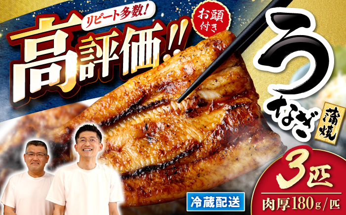 年内 配送 国産 うなぎ 蒲焼 冷蔵 180g×3匹 秘伝のタレ付き！ ＜入口屋＞ [CCA003] うなぎ 鰻 ウナギ 鰻の蒲焼 冷蔵 うなぎ 国産 お取り寄せ鰻 うなぎ 土用の丑の日 