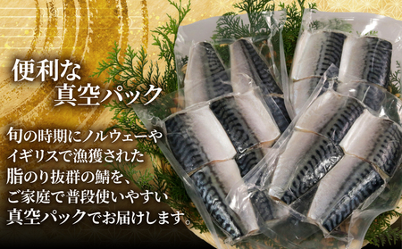 訳あり 腹骨取り 塩さば 真空パック 計16切（4切入×4パック） 鯖 鯖 鯖 鯖 鯖 カネジョウ