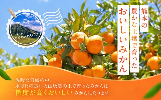 訳あり 小玉みかん 5kg | 果物 みかん くだもの みかん フルーツ みかん 柑橘 みかん 柑橘類 みかん ミカン 家庭用 みかん 熊本県 みかん 玉名市 みかん