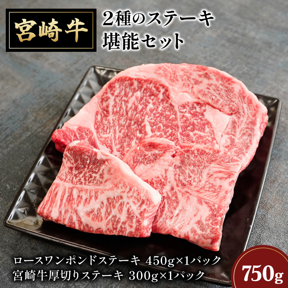 
KU292 ＜毎月数量限定＞ 内閣総理大臣賞受賞の宮崎牛！ 宮崎牛2種のステーキ堪能セット ご家庭に美味しい牛肉をお届け！
