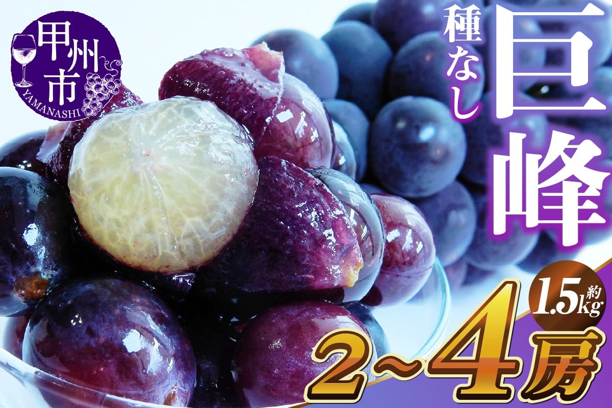 新鮮産直甲州市！種なし巨峰 約1.5kg 2～4房【2025年発送】（KSF）B12-461  【巨峰 葡萄 ぶどう ブドウ 令和7年発送 期間限定 山梨県産 甲州市 フルーツ 果物】