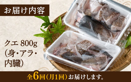 【全6回定期便】幻の魚 クエ 鍋 セット 800g [WAD044]くえ クエ クエ鍋 