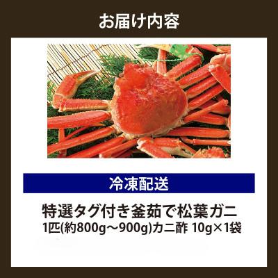ふるさと納税 香美町 松葉がに 釜茹で 特選 冷凍 兵庫県香住産 約800〜900g×1匹【2025年11月中旬以降発送】 |  | 03