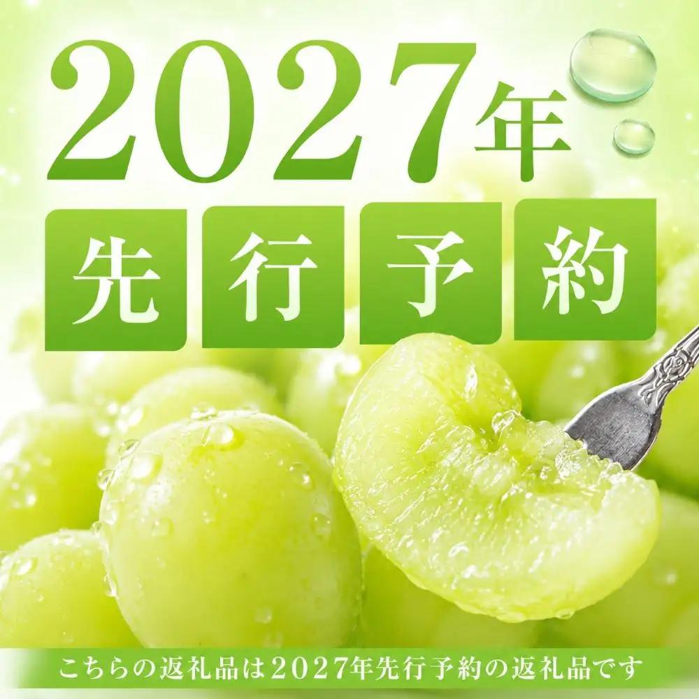 ぶどう 定期便 2027年 シャイン マスカット 晴王 各月2房（1房600g以上） 2回コース マスカット ブドウ 葡萄  岡山県産 国産 フルーツ 果物 ギフト