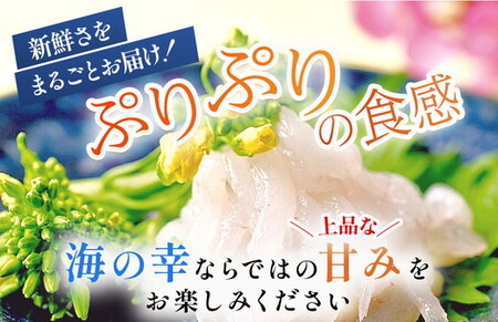 シロエビ刺身100g×2