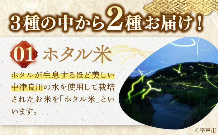 【全12回定期便】【着日指定 可能】【違いを楽しむ】こだわりの米食べ比べセット 約5kg（2.5kg×2種） 平戸市 / ひらど新鮮市場 [KAB242]