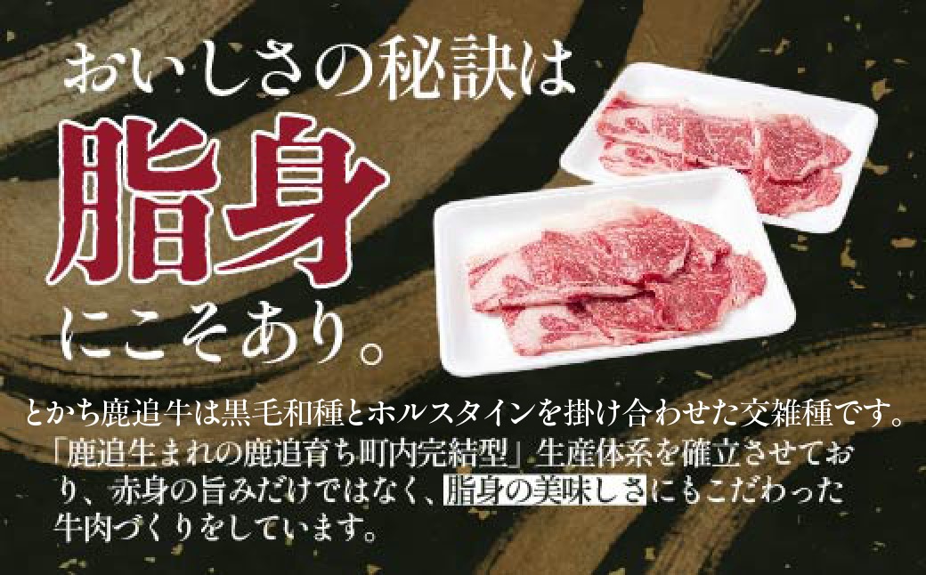 大容量！！