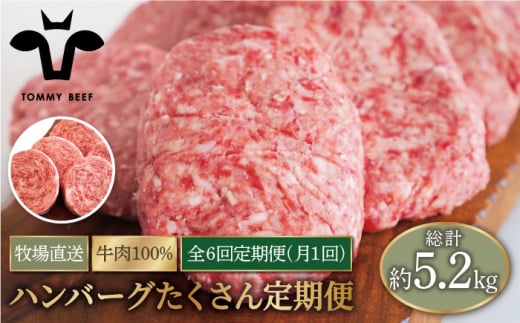 【牧場直送】【6回定期便】家族に優しい！ハンバーグ＆ロールステーキ定期便 【佐賀セントラル牧場】佐賀県産 牛肉 肉 お肉 ハンバーグ ロールステーキ はんばーぐ 九州 佐賀県 白石町 [IAH028]