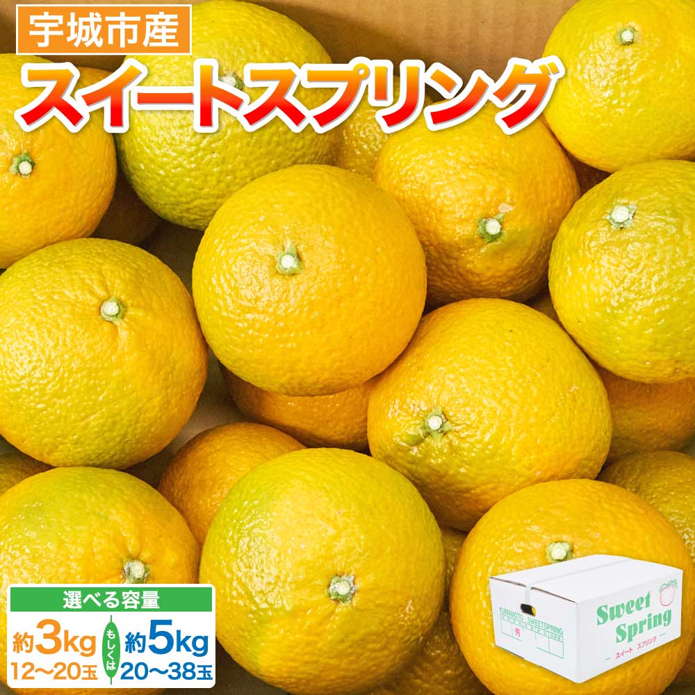 【ふるさと納税】【選べる容量】スイートスプリング 約3kg（12〜20玉）もしくは 約5kg（20〜38玉） 【2025年12月下旬~2026年1月下旬頃発送予定】 みかん ミカン 蜜柑 柑橘 果物 くだもの フルーツ 常温 九州 熊本県 宇城市 株式会社la Nui.