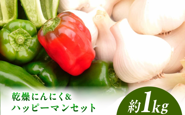 
                  【先行予約】乾燥平戸にんにく＆ハッピーマンセット 約1kg ピーマン ぴーまん 高知県産 野菜 新鮮野菜 産地直送 お取り寄せ 先行予約 高知県 土佐市【株式会社植田ファーム】[BQAT011]
                