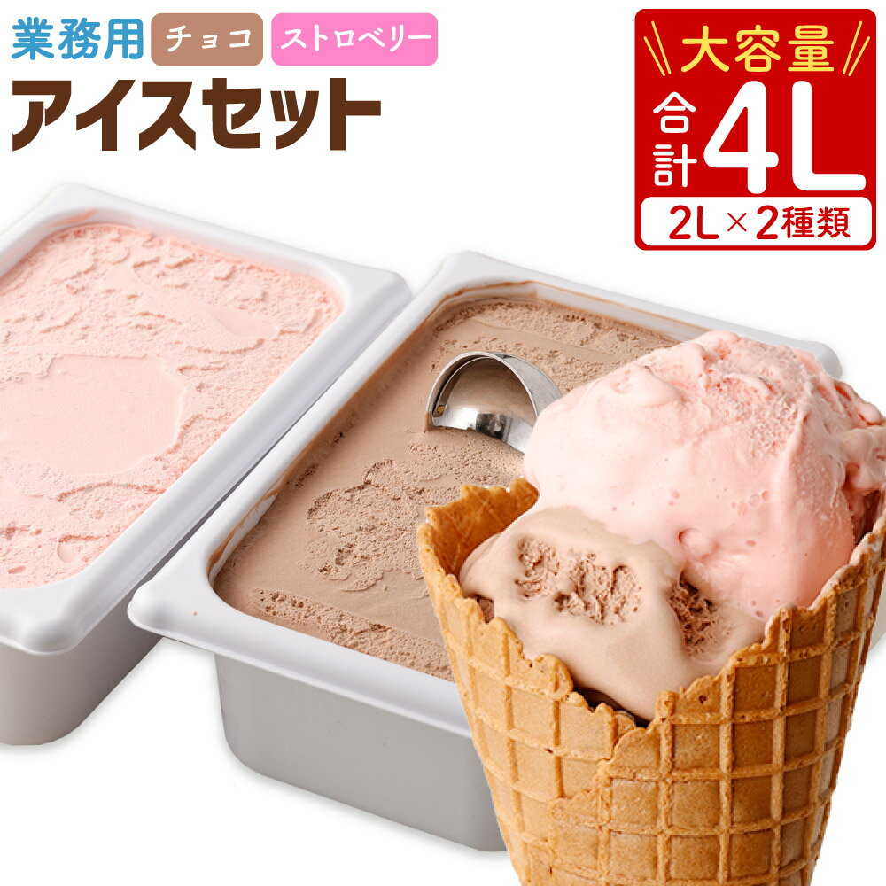 【ふるさと納税】 業務用 2Lアイス セット 合計4L 2L×2種類 チョコ ストロベリー大容量 アイス アイスクリーム アイスミルク セットチョコアイス ストロベリーアイス イチゴアイス スイーツ おやつ 乳製品 九州産 国産 冷凍 送料無料【2025年6月下旬順次発送開始】
