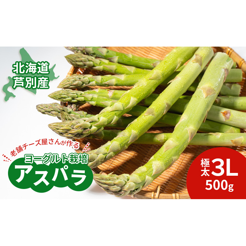 【2025年発送】アスパラ 横市ヨーグルト栽培  500g 3L 横市フロマージュ舎 野菜 アスパラガス グリーンアスパラ 旬 とれたて お取り寄せ 産地直送 小分け 保存 芦別市 北海道 送料無料