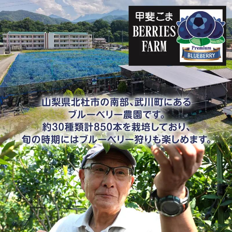 2026年産 大人気！甘くジューシーな冷凍ブルーベリー1kgパック [h186]