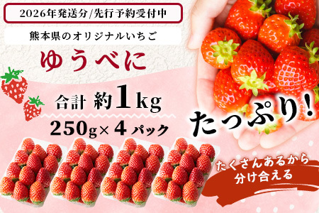 【2025年3月～発送開始】先行予約 熊本県産 いちご ゆうべに 1箱 (250g×4パック) イチゴ 果物 フルーツ 熊本県 多良木町 農園直送 107-0501