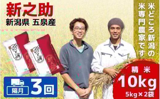 令和7年産 新米 【 隔月 3回 】 米 10kg ( 5kg × 2袋 ) × 3回 五泉産 新之助 | 白米 精米 しんのすけ お米 おこめ コメ こめ 新潟県 五泉市 わくわく農場