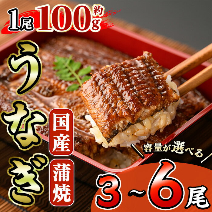 【ふるさと納税】＜内容量が選べる！＞国産 うなぎ 蒲焼 (計3～6尾・1尾あたり約100g) 鰻 ウナギ タレ かば焼き うな重 うな丼 ひつまぶし 小分け 真空包装【AW-95・AW-96】【丸正水産】