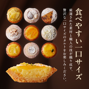 大切な方への贈り物やお土産にも喜ばられる一品！ タルトレット詰め合わせ9個入り タルト専門店 人気 タルトレット 9個 詰め合わせ 一口サイズ タルト ケーキ 焼き菓子 ドイツ菓子 誕生日 奈良県 生