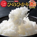 【ふるさと納税】【先行予約】令和6年産 ひのひかり 南大隅町辺塚産 【 5 kg ・ 10 kg 】 | お米 こめ 白米 食品 人気 おすすめ 送料無料