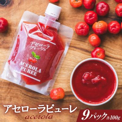 ふるさと納税 本部町 アセローラ果汁100%!アセローラピューレ 100g×9P