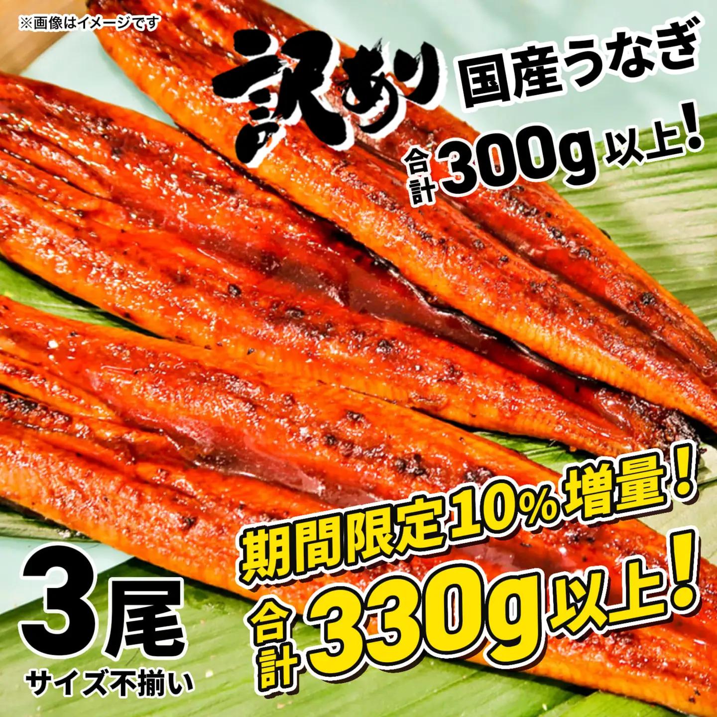 さかい河岸水産の国産うなぎ 3尾(300g以上) 訳あり サイズ不揃い
