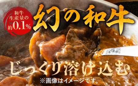【6回定期便】高知土佐あかうしビーフカレー 10食セット/ レトルト カレー あか牛 土佐あかうし 牛肉 牛カレー 保存食 常備 人気 おすすめ 高知市 【株式会社 四国健商】[ATAF138]