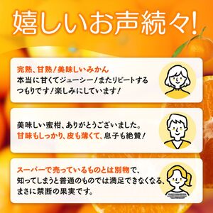 完熟早生みかん　宮川早生１kg※2025年12月から順次発送予定※【期間限定・12/20まで受付】 / 和歌山県 ミカン フルーツ 果物 柑橘 田辺市 【nak004】