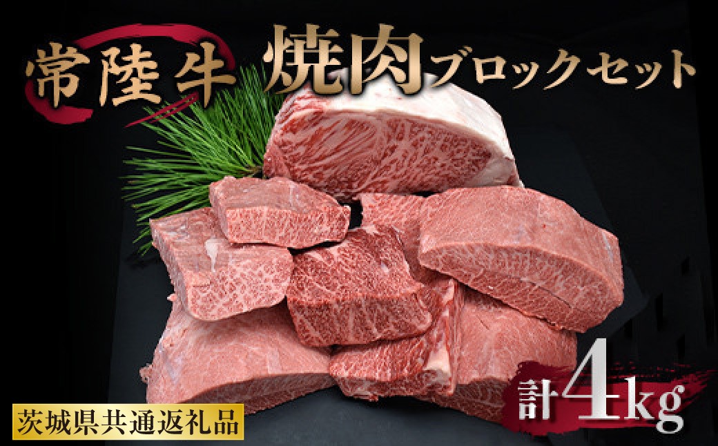 
焼肉ブロックセット 合計4kg 牛肉 サーロイン ミスジ カルビ
