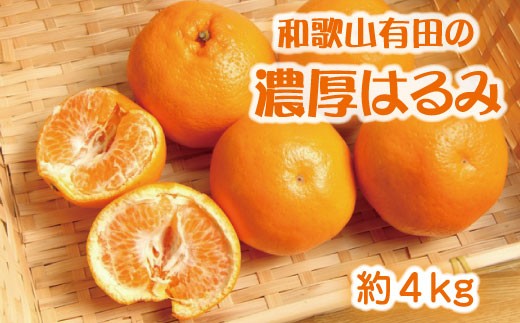 和歌山有田の濃厚はるみ 約4kg (2L又は3Lサイズ) ※2027年1月下旬～2月中旬順次発送予定 / はるみ オレンジ みかん 果物 フルーツ【ard010C】