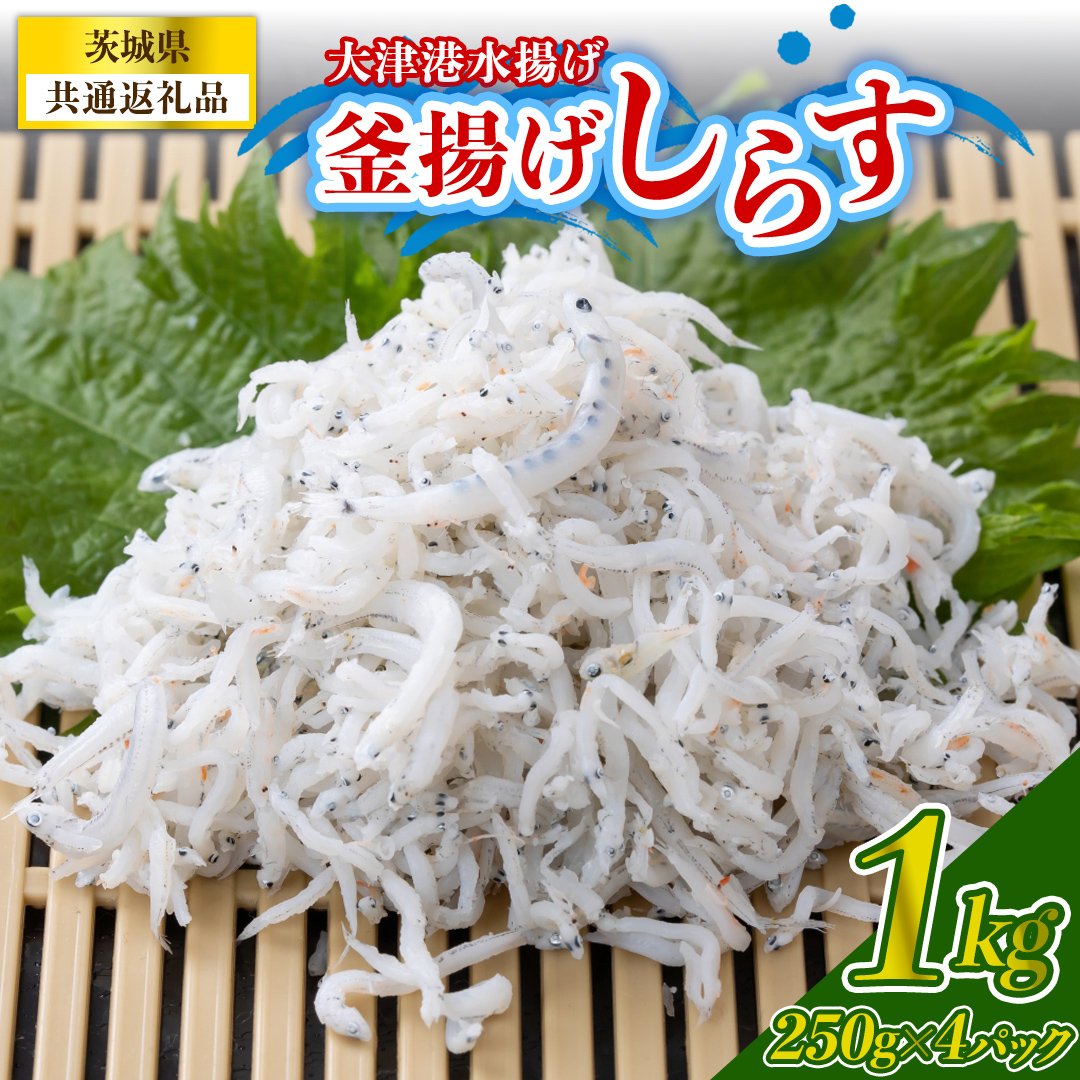 大津港水揚げの釜揚げしらす 1kg(250g×2パック×2箱) (茨城県共通返礼品:北茨城市) (BC009)