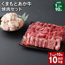 【ふるさと納税】【定期便】【1ヶ月毎10回】くまもとあか牛 焼肉セット 計10kg（1kg×10回） もも焼肉 700g ホルモン 300g 和牛 牛肉 お肉 あか牛 赤身 霜降り モモ肉 もつ モツ グルメ お取り寄せ 冷凍 熊本県産 国産 熊本県 上天草市 送料無料