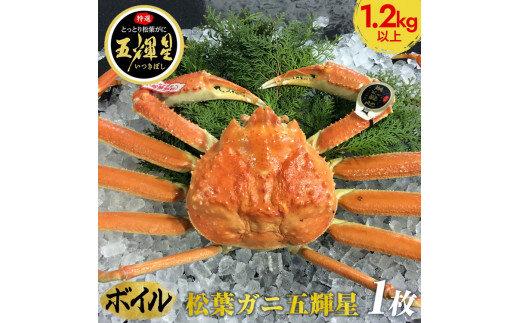 【ボイル】鳥取ブランド　松葉ガニ『五輝星』※2025年11月上旬～2026年3月下旬頃に順次発送予定※着日指定不可