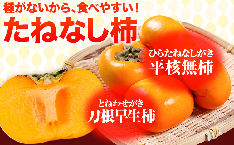 たねなし柿（刀根早生柿・平核無柿）約2kg（6〜9玉前後） 《2024年9月下旬-10月下旬頃出荷》 和歌山県 紀の川市 種なし柿 産地直送 柿 果物 フルーツ 2L〜Mサイズ カキ