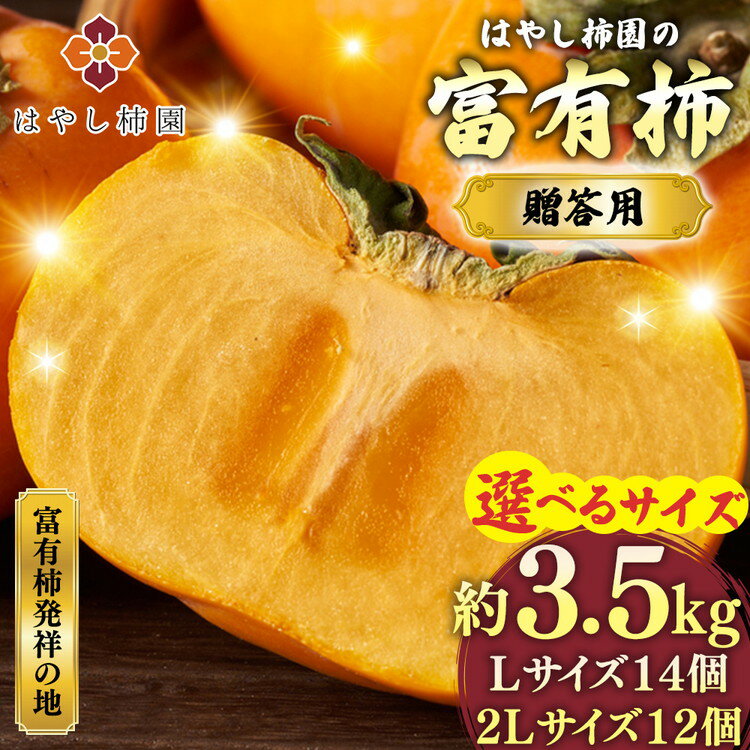 【ふるさと納税】【先行予約】 ＼選べるサイズ／ はやし柿園の贈答用富有柿 | 柿 カキ かき 果物 フルーツ 予約 高糖度 濃厚 秋の味覚 ギフト 贈答用 プレゼント 贅沢 ご褒美 旬 お取り寄せ ※2026年11月中旬頃より順次発送予定 ※離島への配送不可