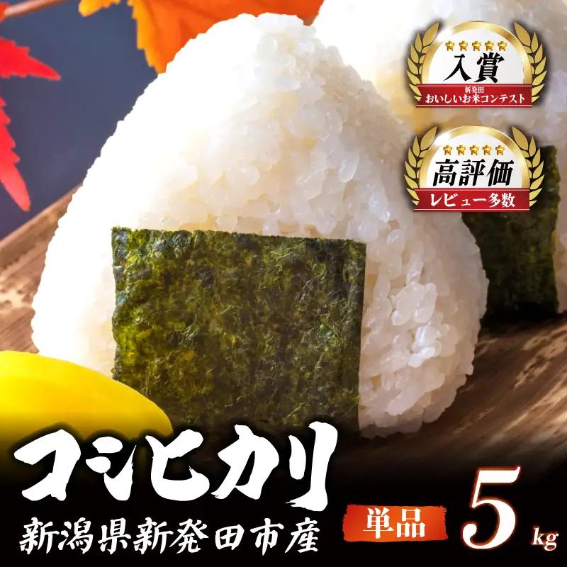 【コンテスト入賞米】 新米 特別栽培米 コシヒカリ 5kg  特栽米 新潟県産コシヒカリ 新発田産 新潟 米 アグリ中俵 新潟県 新発田市 【令和8年産 先行予約 2026年11月以降順次発送 】 nakatawaraKH007_01