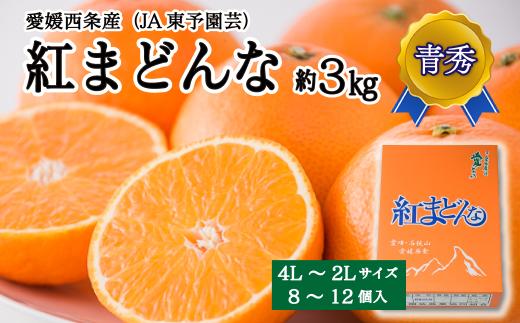 紅まどんな 青秀 8～12個入 4L～2Lサイズ 3kg 愛媛県西条市 （JA東予園芸） 【先行予約】 【11月下旬～12月下旬頃発送】｜ 紅まどんな 愛媛 青秀 マドンナ みかん 果物 フルーツ ジューシー 甘い 高級 おすすめ 人気 お取り寄せ 愛媛県産 西条市産 送料無料