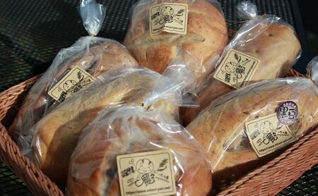 手づくり天然酵母大きな食事パンセット6種 詰め合わせ パン 手作り 天然酵母 国産小麦 自然発酵 京都