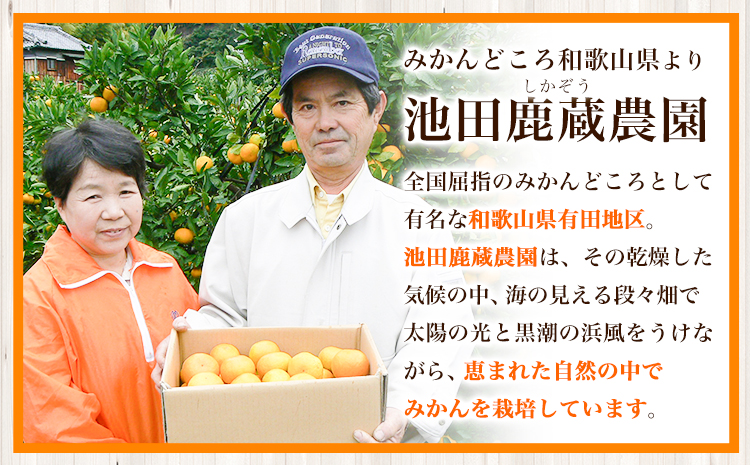 先行予約 ご家庭用 キウイ フルーツ 約1kg ＋250g (傷み補償分) 池田鹿蔵農園@日高町（池田農園株式会社）《11月中旬～2027年4月下旬出荷》【配送不可地域あり】和歌山県 日高町 わけあり
