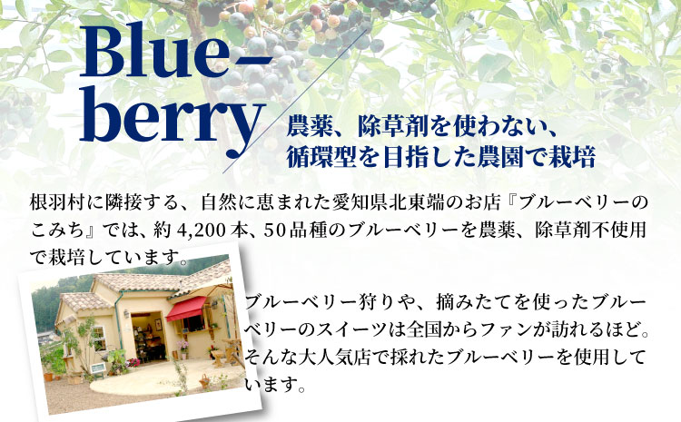 無農薬！皮ごと使用！30品種をブレンドした ブルーベリー アイス(80ml)×7個入り