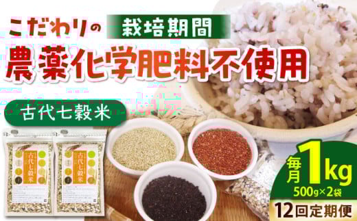 【全12回定期便】古代七穀米 1kg ( 500g×2個セット ) 【だいちの家】[HAG011] 定期便 雑穀 雑穀米 古代米 発芽玄米 玄米 黒米 麦 ヒエ アワ 佐賀