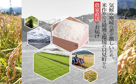 【米屋商店】令和5年産　こだわりの奥会津只見産　コシヒカリ　5kg×2袋（合計10kg）