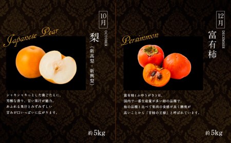 南国宮崎 旬の《至高》フルーツ定期便 偶数月コース（計6回） 【F96】