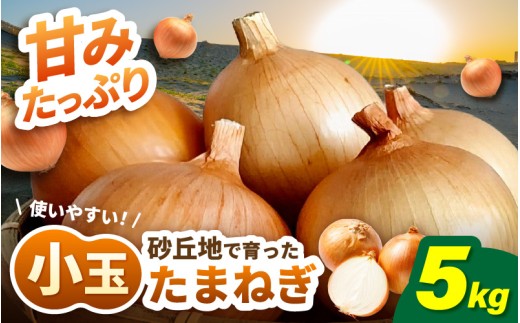 先行予約 小玉 玉ねぎ 5kg 【2027年7月中旬以降発送予定】 福井県砂丘地育ち 甘みたっぷり たまねぎ 玉ねぎ タマネギ 小玉 玉葱 オニオン スライス サラダ 野菜 スープ 肉じゃが 煮物 ハンバーグ すりおろし 甘い カレー 新鮮 産地直送 [A-16521]